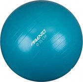 avento-fitnessbal-55-cm-rubber-1