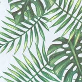 Raved Raamfolie/Plakfolie - Decoratiefolie - Tropische Bladeren Groen/Wit - 200x140 mm