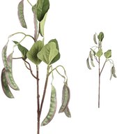 PTMD Twig Plant Erwt Kunsttak - 30 x 14 x 72 cm - Groen