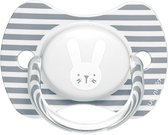 Suavinex Hygge Grey Rabbits 6-18m Physio Silicone Fopspeen SXSHP2068444