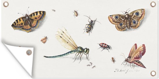 Tuinposter Insects, butterflies and dragonfly - schilderij van Jan van Kessel - 60x30 cm - Tuindoek - Buitenposter