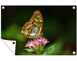 Foto: 