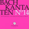 Chor & Orchester Der J.S. Bach-Stiftung, Rudolf Lutz - Bach: Bach Kantaten 14 (CD)