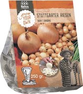 Baltus Uien Stuttgarter Riesen 250 gram per stuks