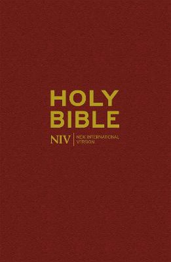 Heilige Bijbel NIV, New International Version, met gouden letters op een bordeauxrode kaft.