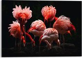 Acrylglas Flamingo's