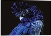 Glasschilderij Dieren Blauwe Papegaai 100x140 cm Plexiglas - Reinders