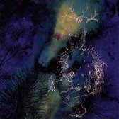 Bardo Pond - Under The Pines (CD)