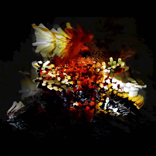 Bogus Order - The Bullnose Step (2 12" Single)