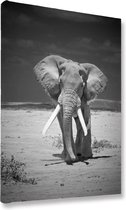 Akoestische panelen - Geluidsisolatie - Akoestische wandpanelen - Akoestisch schilderij AcousticBudget® - paneel met olifant in Amboseli national park, Kenia - design 80 - 90x60 -