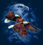 Diamond Painting Tami Alba, Eagle Spirit  Vierkante   Steentjes 70 x70 cm