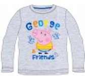 Grijze longsleeve - shirt van Peppa George maat 104