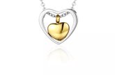 Dutch Duvall | Ashanger RVS zilver & goud kleurig hart| inclusief ketting en vulsetje| Hartvorm as voor urn / assieraad|