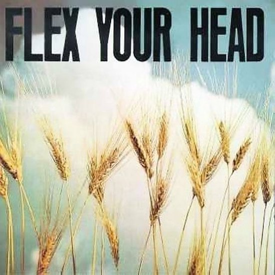 Foto: Various artists flex your head lp 