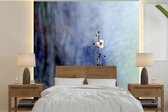 Behang - Fotobehang Een pijlkruid met een kleurrijke achtergrond - Breedte 280 cm x hoogte 280 cm