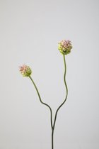 Kunstbloem - set van 2 - Allium - decoratieve tak - 64 cm - paars