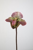 Kunstbloem - set van 2 - lady slipper orchidee - decoratieve tak -  48 cm - paars