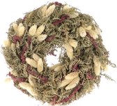 Krans droogbloemen Phalaris naturel Joyfull - Dried flowers - Verse droogbloemen - GRATIS VERZENDING