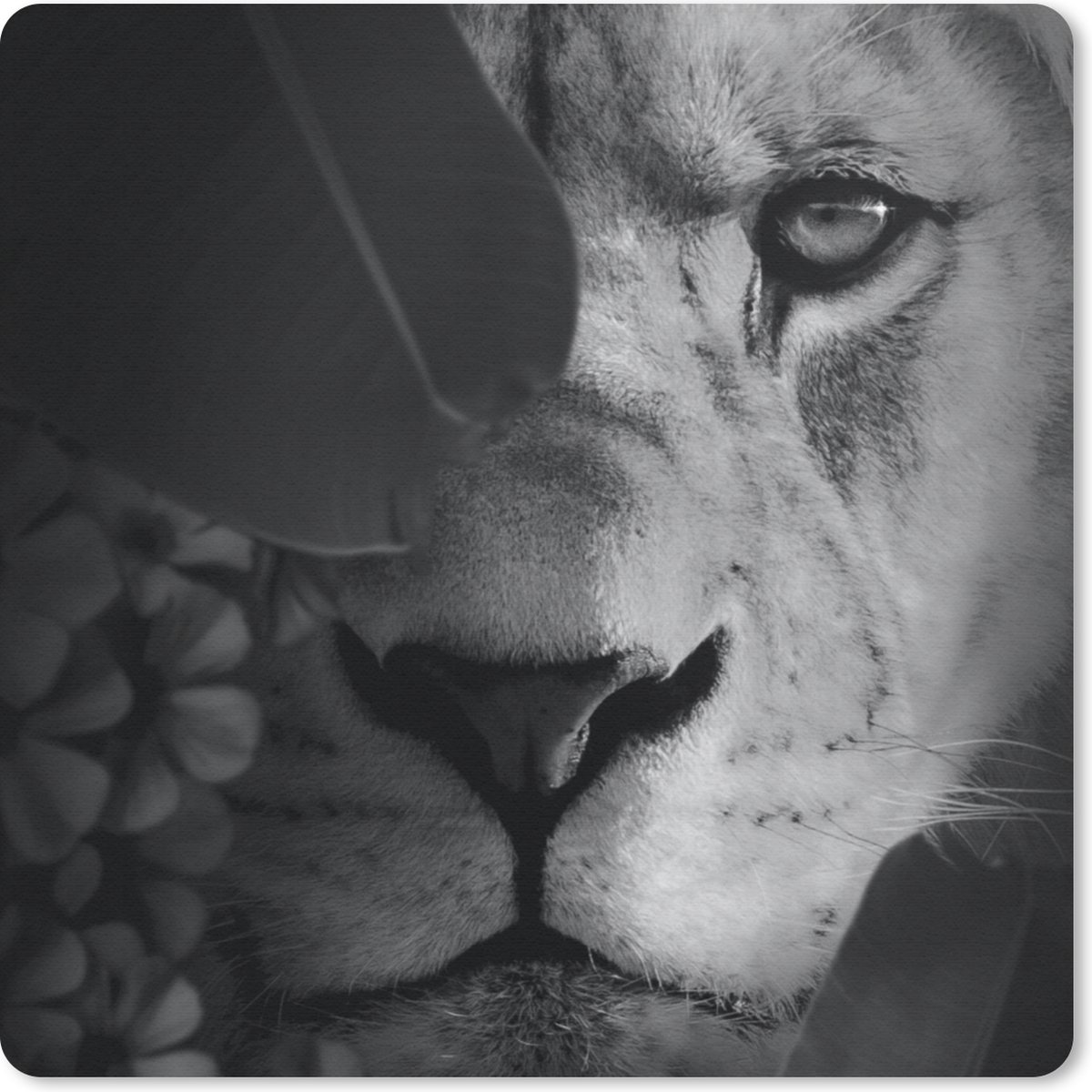 Muismat 20x20 cm - Mousepad Planten - Jungle - Leeuw - Zwart - Wit - Muismatten