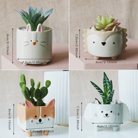 leren in de tussentijd Pak om te zetten Matanzas Little Flower Pot - Set van mooie plant -of bloempot voor op uw  vensterbank... | bol.com
