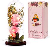 Ulif Beauty and the Beast Rose Cadeaus voor Vrouwen Verjaardag, Rose in Glazen Koepel voor Mam, Oma, Vrouwen, Moederdag, Valentijnsdag