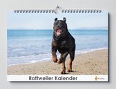 Calendrier Rottweiler 35x24 cm | Calendrier d'anniversaire Rottweiler | Chien de race Rottweiler | Calendrier Anniversaire Adultes