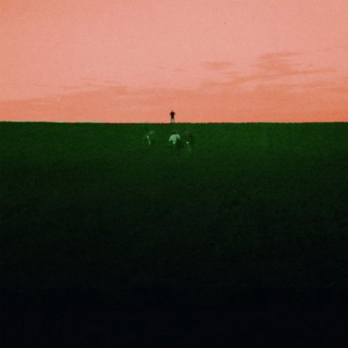 Dust Covered Carpet - Witness Me Pass Out (LP)