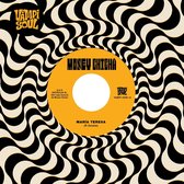 Money Chicha - Maria Teresa/Cumbia Del Desierto (7" Vinyl Single)