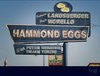 Jermaine Landsberger & Paulo Morello - Hammond Eggs (CD)