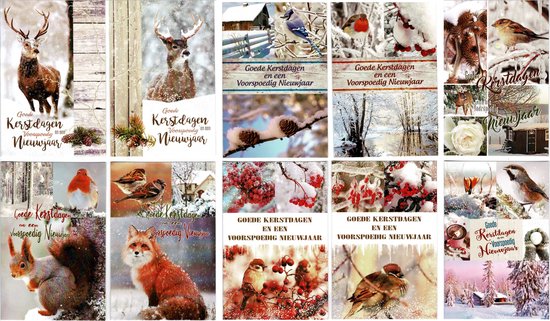 50 Luxe Kerst- en Nieuwjaarskaarten met Pen - 9,5x14cm - 10 x 5 dubbele kaarten met enveloppen - serie Goede Kerstdagen en een Voorspoedig Nieuwjaar