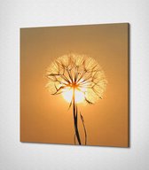 White Flower Canvas - 20 x 20 cm - Bloemen - Schilderij - Canvas - Slaapkamer - Wanddecoratie  - Slaapkamer - Foto op canvas