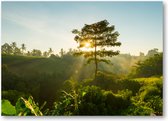 Bali Jungle - 70x50 Canvas Liggend - Minimalist - Landschap