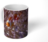 Mok - Verstopte clownvissen tussen de zeeanemonen - 350 ML - Beker