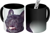 Magische Mok - Foto op Warmte Mok - Franse Bulldog - Zwart - Stoel - 350 ML