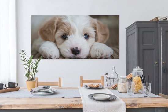 Tableau sur toile Gros plan d'un chiot Cavachon - 160x80 cm - Décoration murale