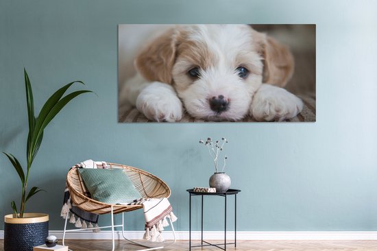 Tableau sur toile Gros plan d'un chiot Cavachon - 160x80 cm - Décoration murale
