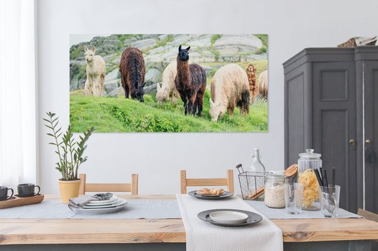 Tableau sur Toile Alpaga - Berg - Herbe - 160x80 cm - Décoration murale