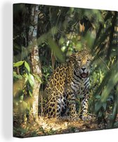 Canvas Schilderij Verstopte jaguar in de jungle - 90x90 cm - Wanddecoratie