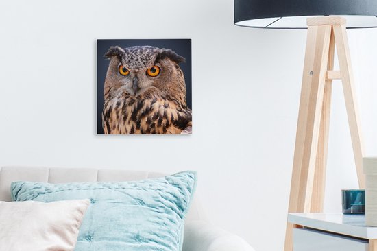 Tableau sur toile Un gros plan d'un hibou marron - 20x20 cm - Décoration murale Art