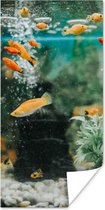 Poster Kleine visjes in een aquarium - 60x120 cm