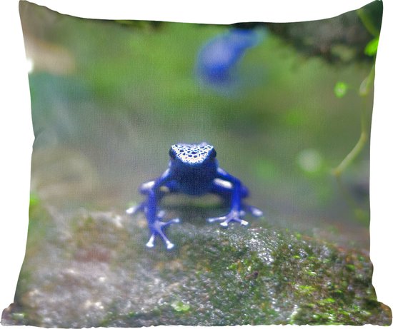 Sierkussens - Kussentjes Woonkamer - 40x40 cm - Blauwe kikker in de jungle