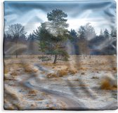Kussenhoes 40x40 cm - Een pad kronkelt door een Nederlands winterlandschap - Katoen / Polyester - Voor Binnen