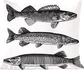 Sierkussens - Kussen - Een illustratie van drie vissen - 45x45 cm - Kussen van katoen