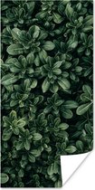 Affiche Feuilles - Plantes - Nature - 40x80 cm