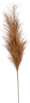 Pampas Brown 115 cm kunsttak per 1 stuks