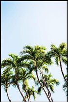 Walljar - Palms And Blue - Muurdecoratie - Poster met lijst