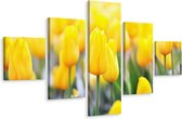 Schilderij - Gele tulpen veld, 5luik, premium print