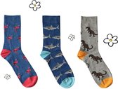 Nature Planet - set van 3 paar sokken voor volwassenen - haai - t-rex - flamingo (100% Oeko-tex gecertificeerd) maat 39-42