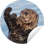 Tuincirkel Otter in het water - 120x120 cm - Ronde Tuinposter - Buiten XXL / Groot formaat!