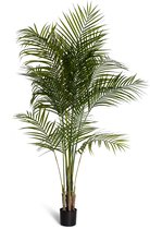 Arecapalm - Natural Wave - kunstplant - 16 palmbladeren - in zwarte plastic pot- 175 cm- Ø 110 cm - UV bestendig